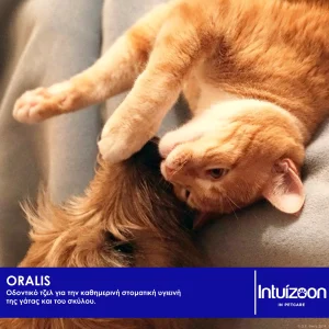 Oralis - Τζελ για την στοματική υγεία στα ζώα - Image 2
