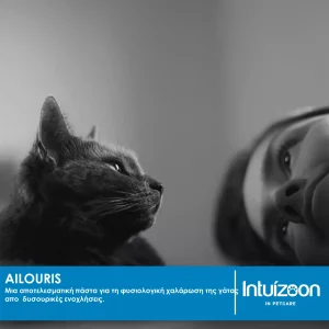 Ailouris - Συμπλήρωμα διατροφής για την φυσιολογική χαλάρωση της γάτας - Image 3