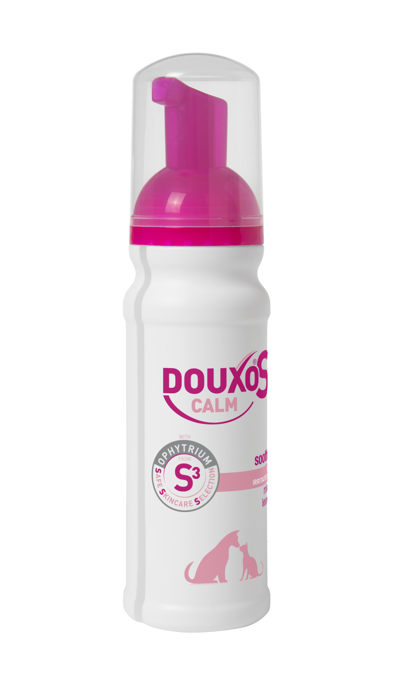 Douxo S3 Calm Mousse