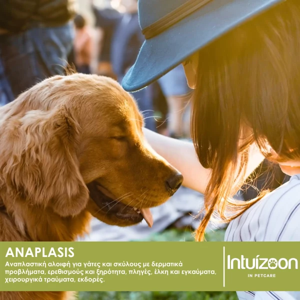 ANAPLASIS Αναπλαστική Αλοιφή 70g για σκύλους & γάτες – Επούλωση πληγών & προστασία δέρματος