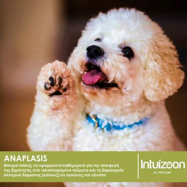 ANAPLASIS Αναπλαστική Αλοιφή 70g για σκύλους & γάτες – Επούλωση πληγών & προστασία δέρματος