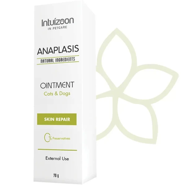 ANAPLASIS Αναπλαστική Αλοιφή 70g για σκύλους & γάτες