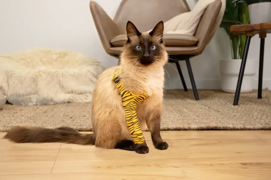 Suitical Recovery Front Leg Single Sleeve Cat