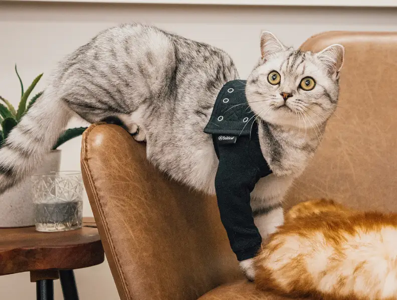 Suitical Recovery Front Leg Single Sleeve Cat