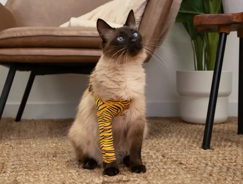 Suitical Recovery Front Leg Single Sleeve Cat
