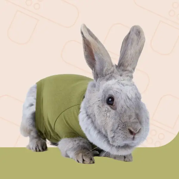Suitical Recovery Suit Rabbit